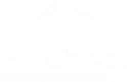 Logo FD Shoot